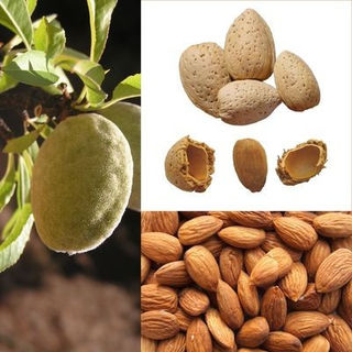 Миндаль 1кг